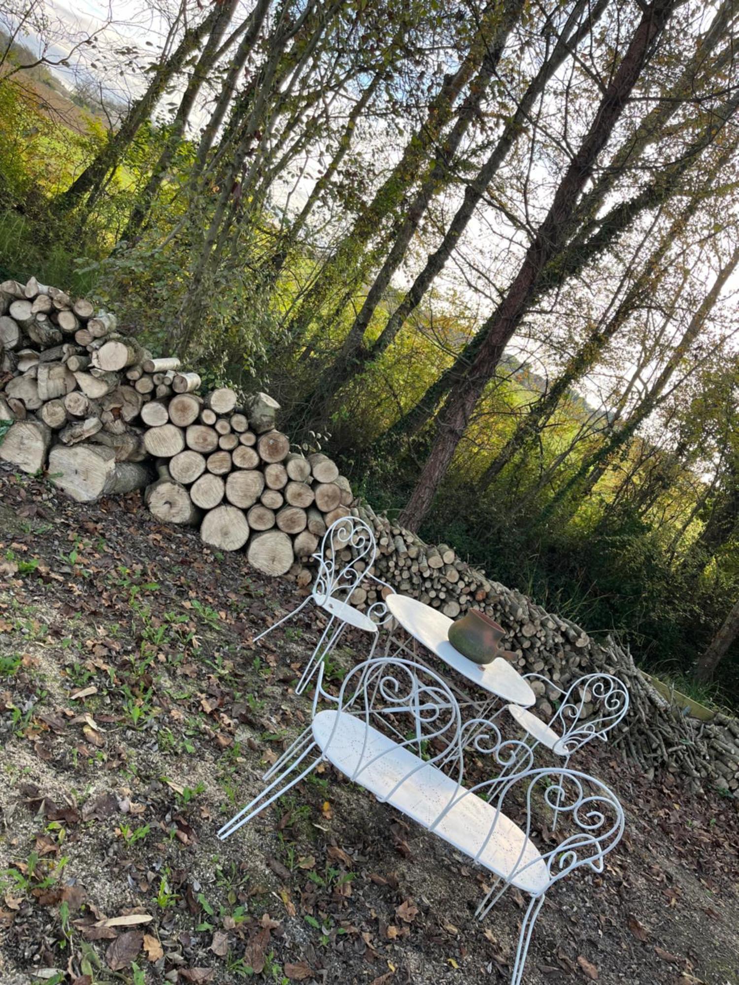 Chez Mamie Villa LʼIsle-Jourdain Dış mekan fotoğraf